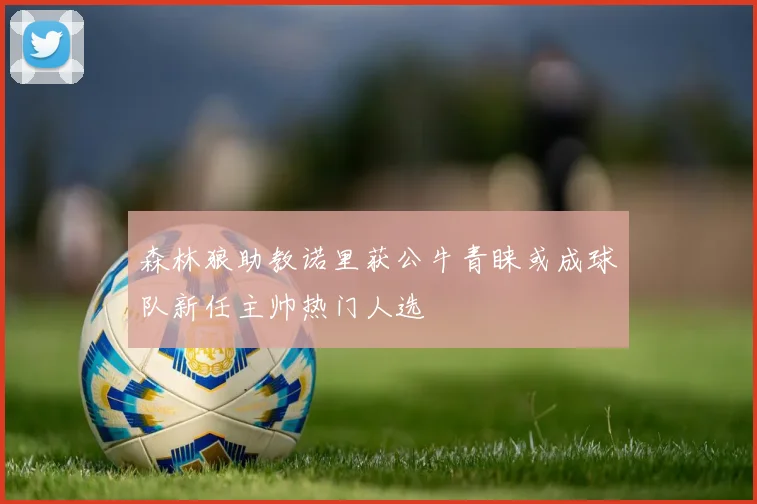 森林狼助教诺里获公牛青睐或成球队新任主帅热门人选